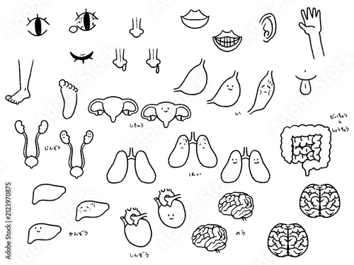 体の一部と臓器のイラストセット白黒