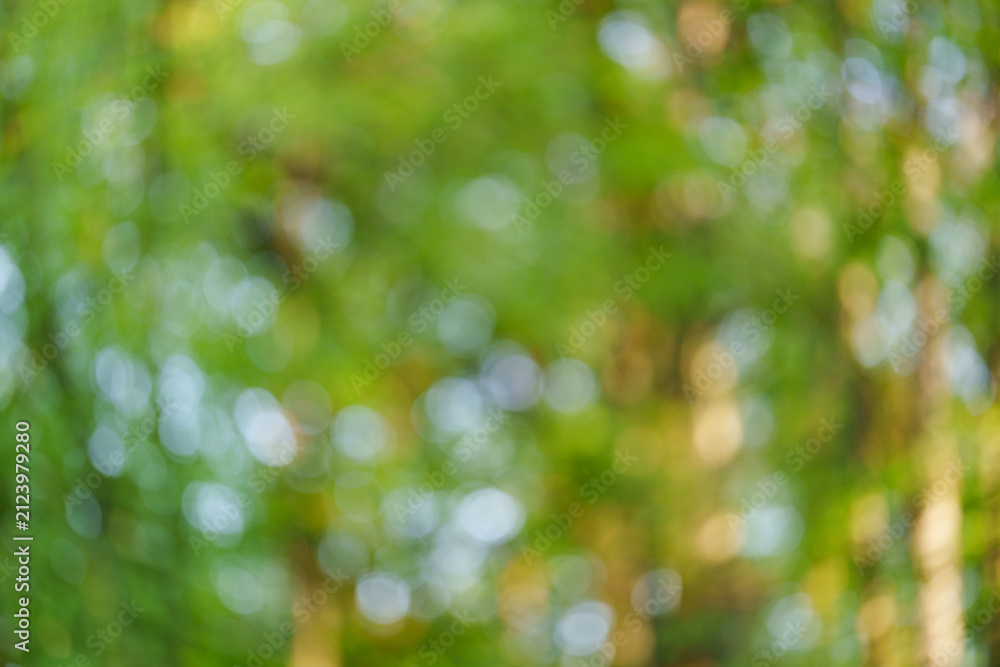 Fototapeta premium A green background with a swirling bokeh effect, blurred summer tree leaves through which warm sunlight shines.