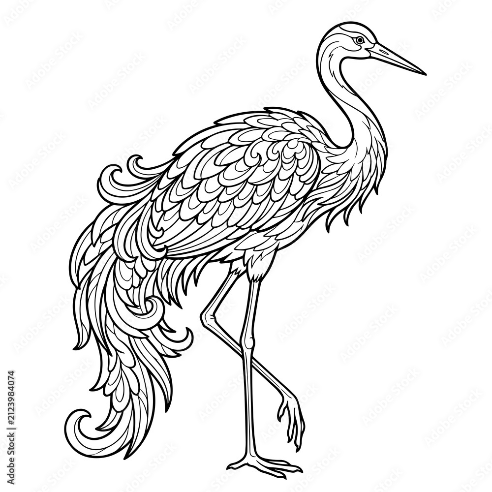 Obraz premium Crane bird line with intricate feather patterns for coloring book, standing on one leg on white background