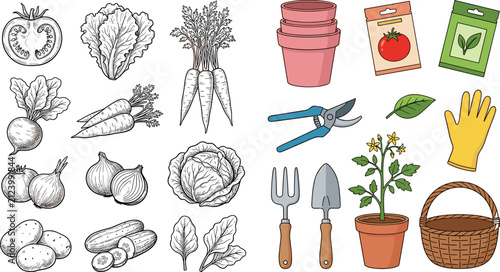 Gardening tools and fresh vegetable harvest set featuring detailed line art crops seed packets pruners trowel and potted plant vector illustration
