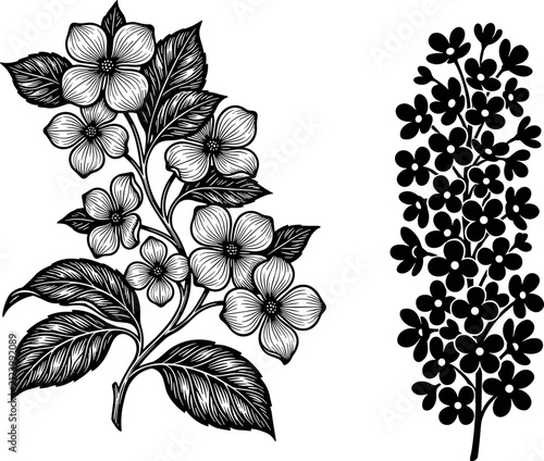 Hand drawn botanical flower illustration set featuring detailed floral branch line art and silhouette vector design element for decorative projects