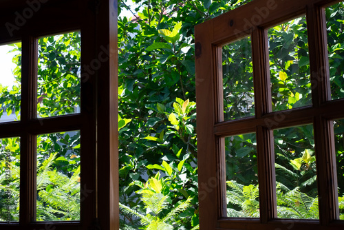 View from inside looking out through an open classic wooden window frame to a lush green tropical garden with bright natural sunlight in a cozy home in Da Lat, Vietnam