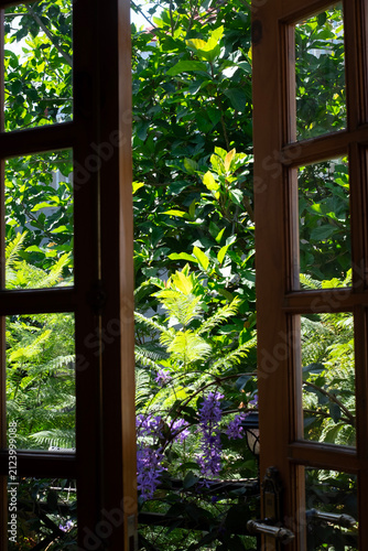 View from inside looking out through an open classic wooden window frame to a lush green tropical garden with bright natural sunlight in a cozy home in Da Lat, Vietnam