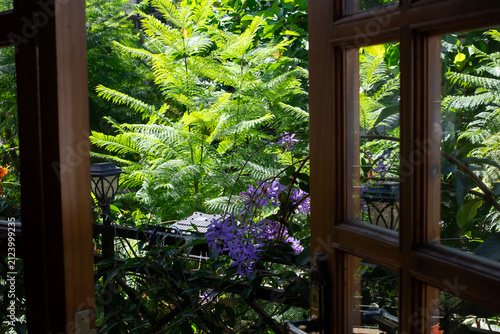 View from inside looking out through an open classic wooden window frame to a lush green tropical garden with bright natural sunlight in a cozy home in Da Lat, Vietnam