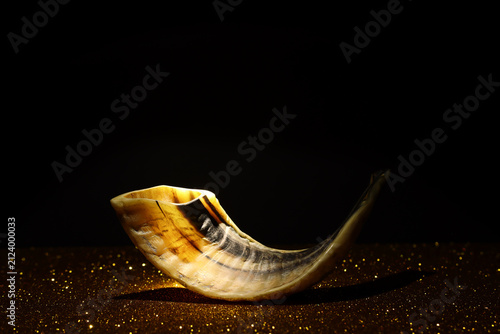 Photography Rosh hashanah (jewish New Year holiday) concept