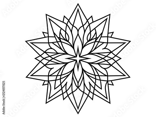 Intricate geometric flower mandala design