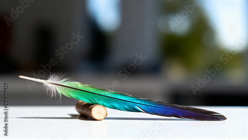 disarranged. Vivid parrot-like feather and smooth branch section on clean surface, biodiversity and natural beauty concept, wildlife magazines.