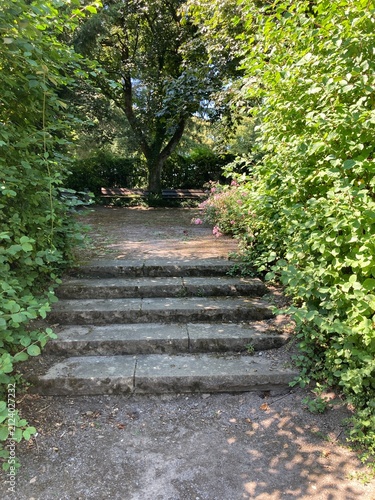 path in the park with stairs