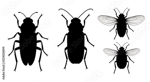 Insect Top View Vector Silhouette Collection with Various Poses Isolated Icon Set
