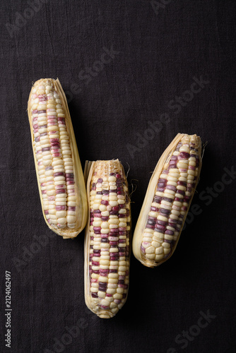 Top view of bicolor purple and white waxy corn on woven fabric