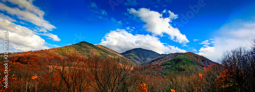 фотографія The Great Smoky Mountains in Fall