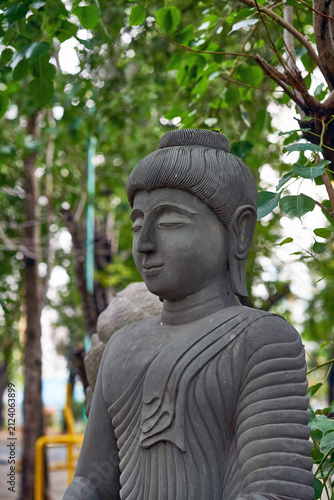 A serene stone or bronze Buddha statue profile standing amidst lush green tropical trees and foliage in a quiet outdoor setting.
