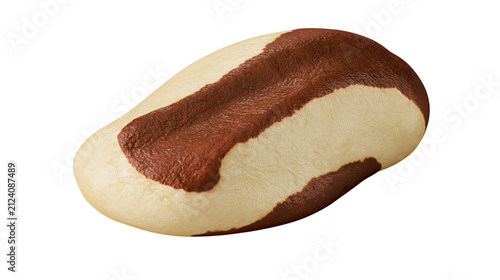 Brazil nut bean with brown and cream shell isolated on transparent background PNG cutout