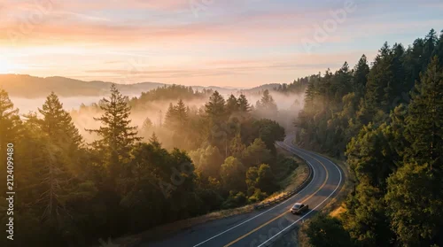 Obraz  z motywem aerial view of winding road through misty pine forest at sunrise. golden sunlight filtering through morning fog. car driving on highway. travel, trip. banner, website header with copyspace.