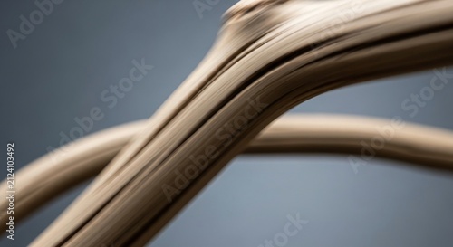 Close-up of textured, weathered wood grain with flowing natural lines and organic curves