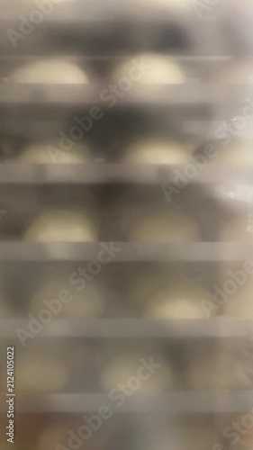 View of raw yeast buns through fogged glass of proofing cabinet in commercial bakery. Dough rises in warm humid conditions, condensation on glass, professional bread production, fermentation process.