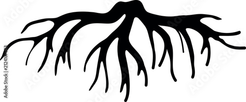 Black silhouette of root isolated on white background