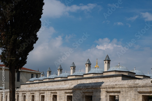 Cuadro en lienzo Ottoman architecture with domes and chimneys against a cloudy sky