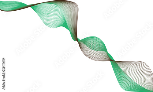 green leaf isolated on white background