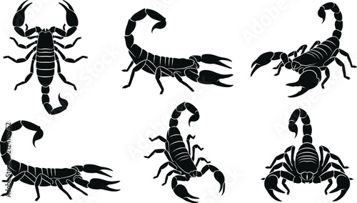 Fotografie Scorpion silhouettes with dangerous stingers and claws, desert arachnid predator