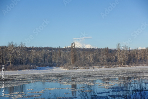 Fotografía Denali rises beyond a frosted spruce and cottonwood tree line above an ice-choked river, its summit capped by a lens-shaped cloud on a clear cold morning