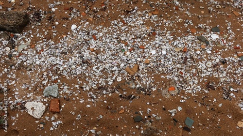 Cuadro en lienzo Scattered seashells and shell fragments covering a sandy beach surface, mixed wi
