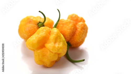 Yellow Trinidad Moruga Scorpion hot Pepper Chili isolated on white background, closeup. One of the hottest peppers in the world, heat level 1,200,000 to 2,000,000 Scoville Heat Units (SHU)