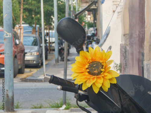 фотографія Bright yellow decorative sunflower flower attached to black scooter mirror handlebar on an urban street in Messina, Sicily, Italy during warm summer weather