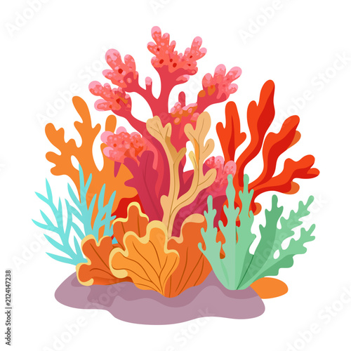 Colorful coral reef vector illustration with tropical corals and underwater plants isolated on white