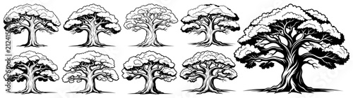 Deciduous Tree Line Art Vector Illustration Set Isolated on Transparent Background with Detailed Black Outline 