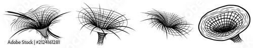 Black hole vortex and gravitational wormhole elements in scientific linework grid style