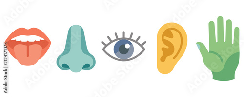 Five human senses icons representing vision hearing smell taste touch.