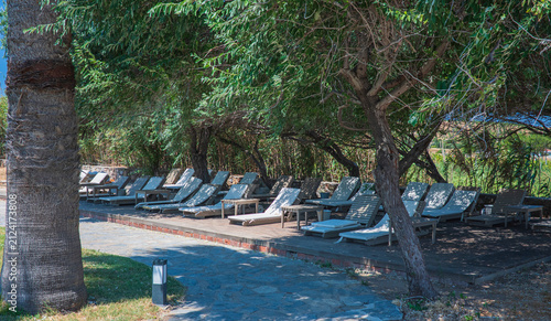 Sun loungers on the hotel grounds