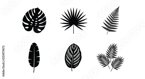 Принти на полотні Tropical leaf silhouettes on a white background botanical collection