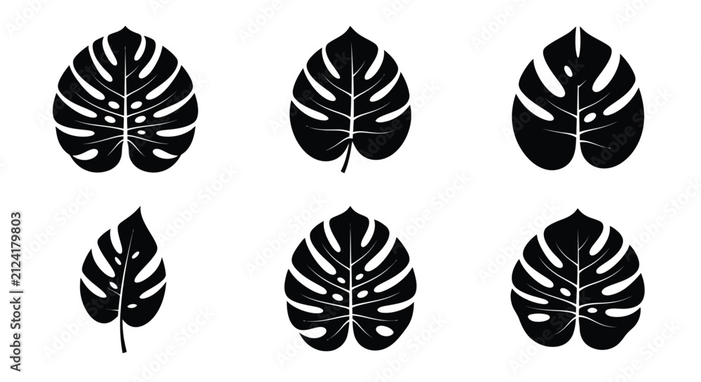 Fototapeta premium Monstera leaf silhouettes black and white botanical shapes on a white background