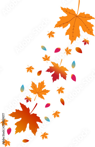 Colorful Falling Autumn Maple Leaves Border on White Background