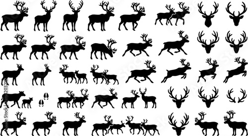 Foto Large Vector Collection of Black Deer Solid Silhouettes Comparing Antlered Stags