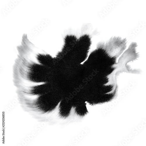 Dark ink blot with wing-like feathered edges resembling a bat or bird on white