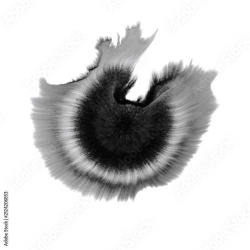Black ink drop spreading in radial sunburst pattern with feathered edges on white