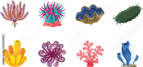 Marine Invertebrates Vector Collection with Coral Sea Sponge Sea Anemone Clam and Sea Cucumber