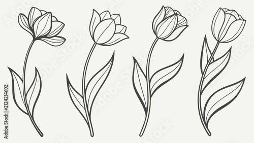 Minimalist Four Tulip Flower Grid Line Art Vector Illustration, Modern Floral Graphic Design for Branding, Textile and Wall Art Decoration