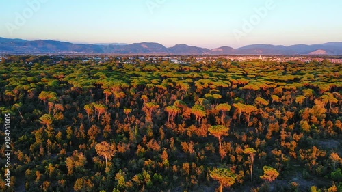 Drone Flight Over Green Forest at Golden Hour Near Mountainous Town