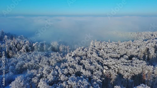 Aerial View Snow-Covered Forest and Misty Valley Under Blue Winter Sky