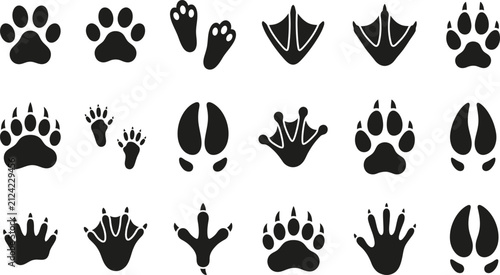 Canvas Print Set of black animal paw prints and bird tracks silhouettes icons showing various
