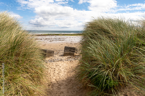 High vantage view through rolling sand dunes over Bamburgh’s wide sandy coastline on the Northumberland coast, with sweeping beach and sea meeting under open sky.