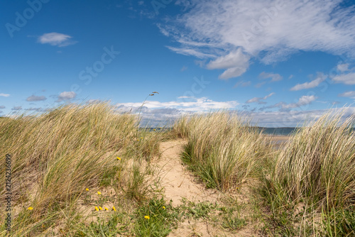 High vantage view through rolling sand dunes over Bamburgh’s wide sandy coastline on the Northumberland coast, with sweeping beach and sea meeting under open sky.