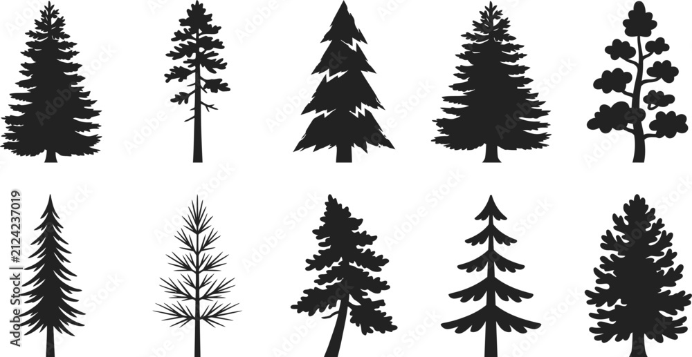 Fototapeta premium Conifer Tree Silhouettes On White Background Collection Of Evergreen Shapes