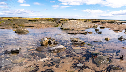 Close-up of exposed rock pools at low tide, foreground in sharp focus revealing wet textures and algae, background softly blurred for depth and detail.
