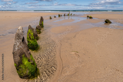 Wooden shipwreck exposed at low tide on the Northumberland coast, weathered timbers in focus with soft bokeh background emphasizing decay and coastal history.