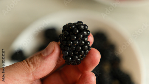 Hands holding a white bowl filled with fresh ripe blackberries, close-up shot.